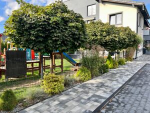 Przedszkole Sportowe TEDDY