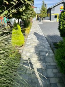 Przedszkole Sportowe TEDDY