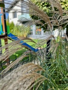 Przedszkole Sportowe TEDDY